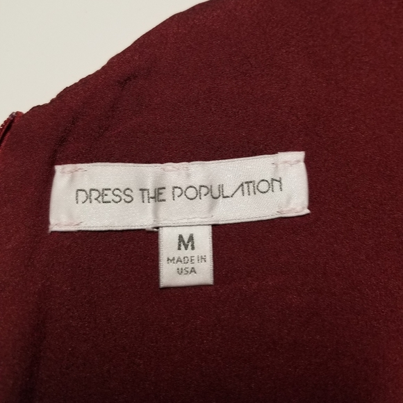 Dress the Population Dress - Picture 14 of 16